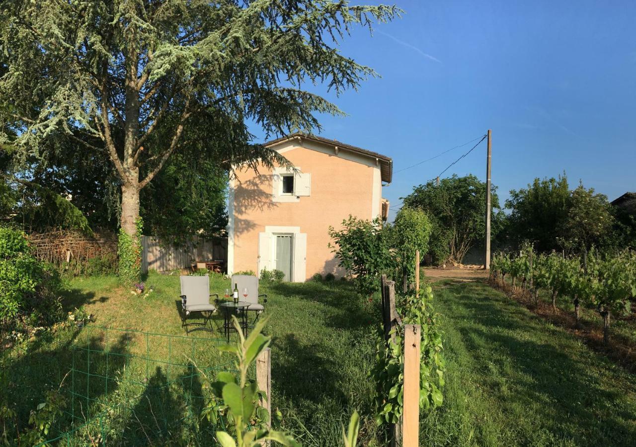 Mirande Montagne-Saint Emilion Apartment Montagne  Exterior foto